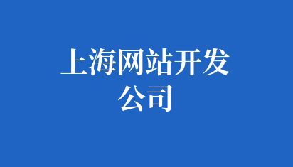 上海网站开发公司